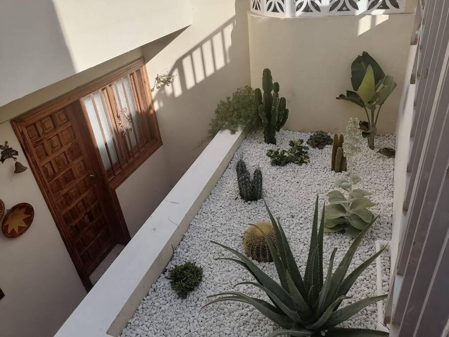 לוס ריאלחוס Casa Las Pencas De Margarita מראה חיצוני תמונה